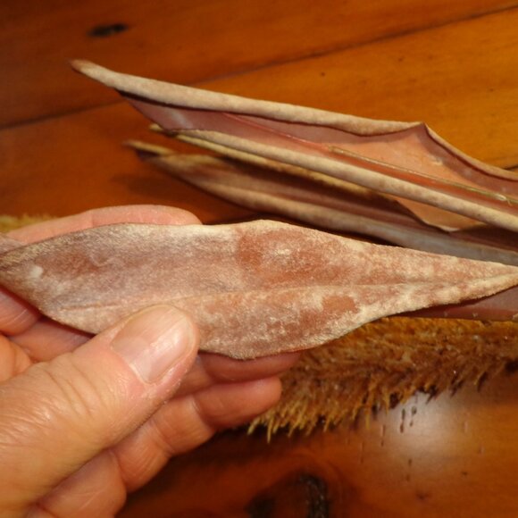 NWT French Market Faux Wheat Stem - Picture 3 of 7